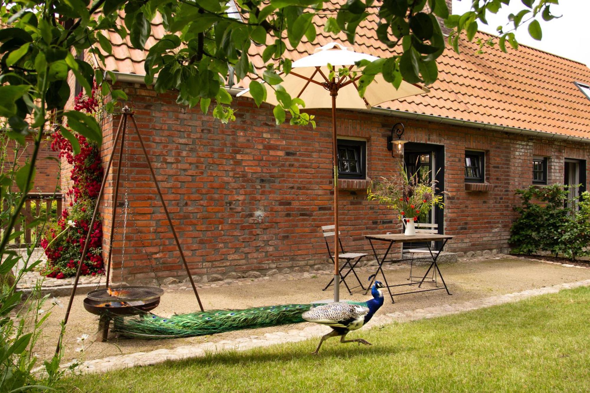 Idyllisches Landhaus, Garten & Kamin, Fuer Paare Villa Kloster Tempzin Exterior photo